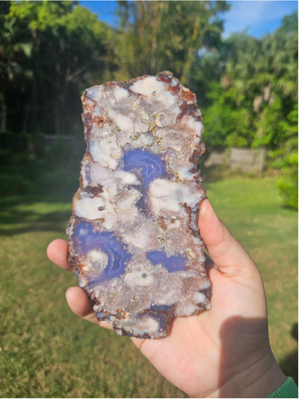 Blue flower agate slab 6 in